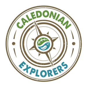 Caledonian Explorers